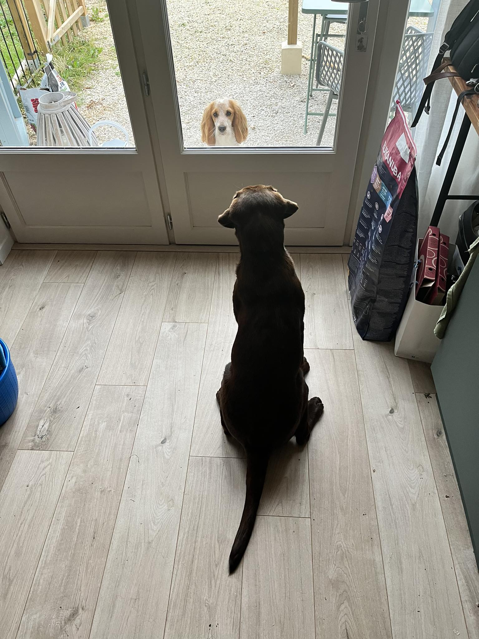 Kom je buitenspelen!!